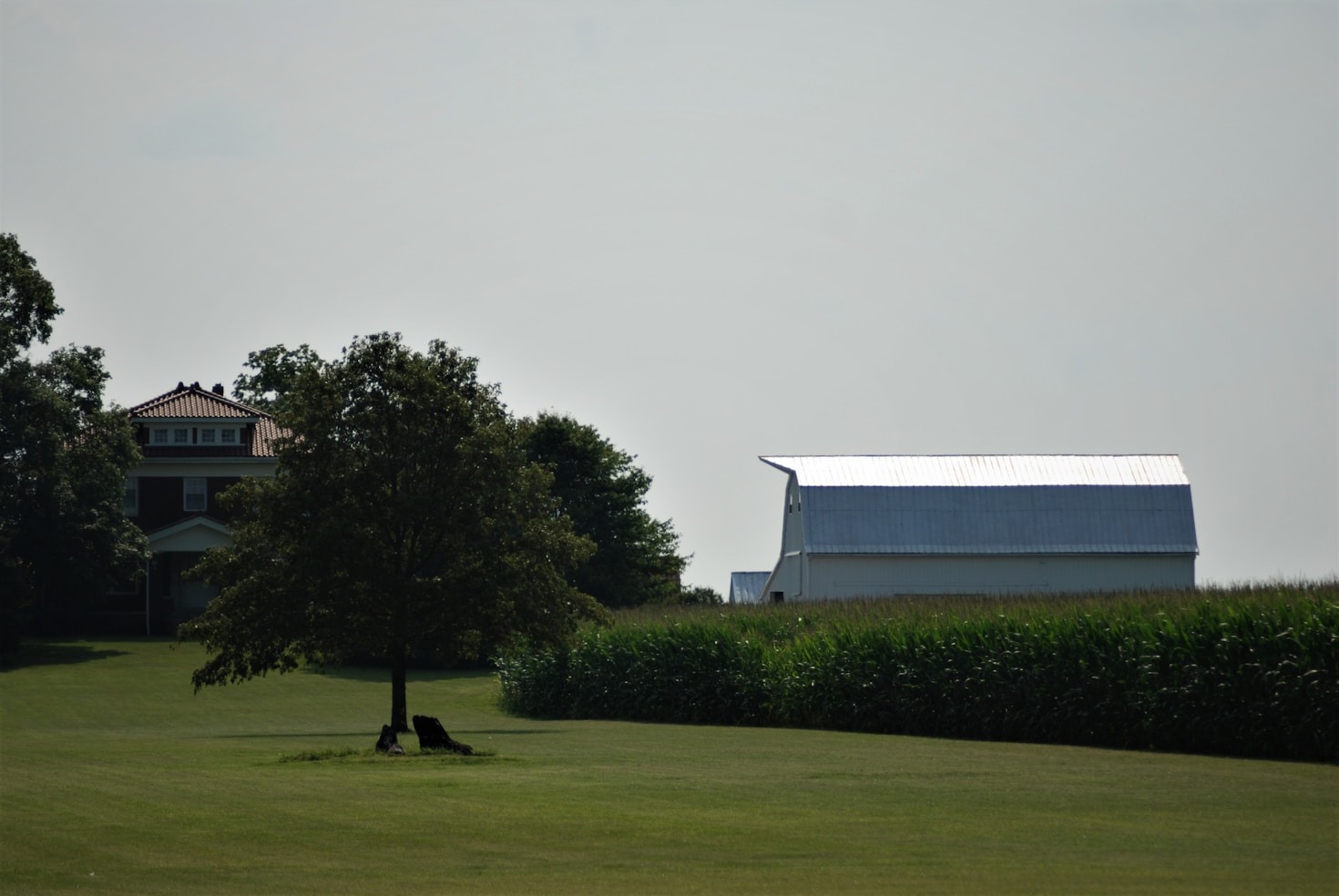 Why Emerald Haven is the Ultimate Getaway Destination